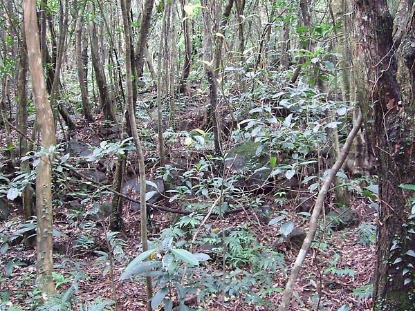 DSCF2665.jpg