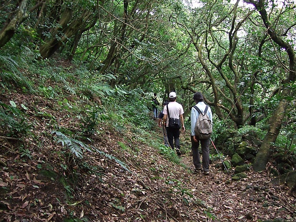 DSCF2678.jpg