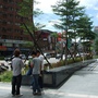 DSCF4012.jpg DSCF4012.jpg