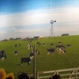 DSCF3722.jpg DSCF3722.jpg