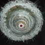 DSCF3677.jpg DSCF3677.jpg