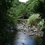 DSCF4034.jpg DSCF4034.jpg
