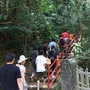 DSCF4023.jpg DSCF4023.jpg