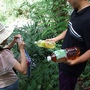 DSCF4032.jpg DSCF4032.jpg