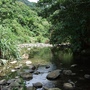 DSCF4038.jpg DSCF4038.jpg