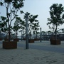 DSCF3645.jpg DSCF3645.jpg