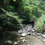 DSCF4036.jpg DSCF4036.jpg