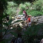 DSCF4031.jpg DSCF4031.jpg