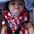 IMAG5521.jpg