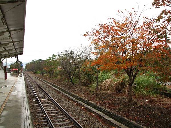 橫山車站35.jpg