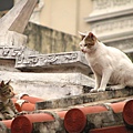 龍山寺