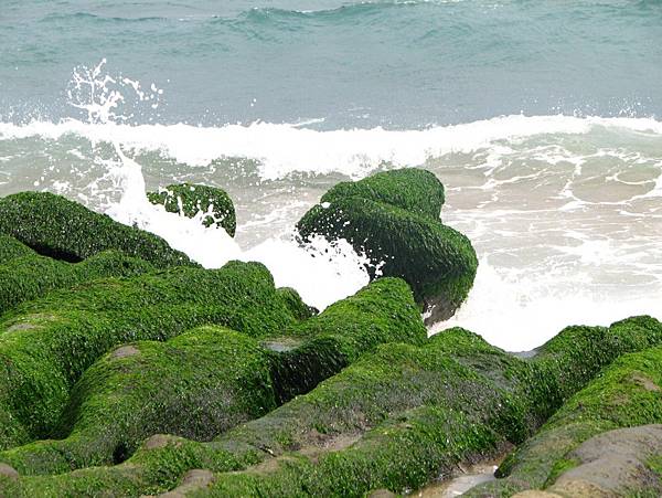 石門老梅海岸08.jpg