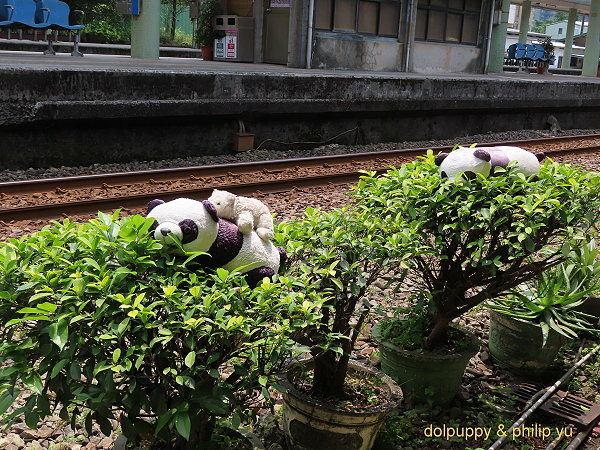 [基隆]四腳亭站-看一下老街小巷古宅‧嚐一下南瓜乳酪蛋糕