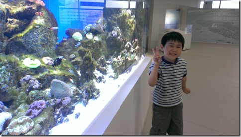IMG_3520 IMG_3520