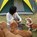 2008大甲農場露營 (17).jpg