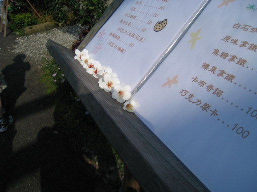 2008平溪桐花 (6).jpg