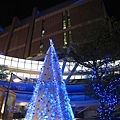 信義區賞聖誕燈 (3).JPG