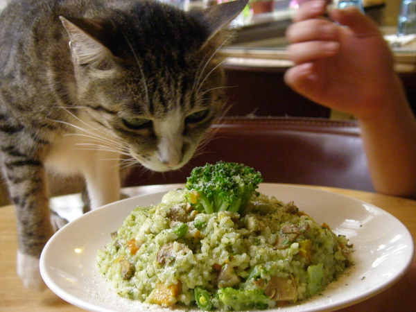 貝&青醬野菇燉飯1.JPG