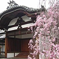 妙蓮寺5.JPG