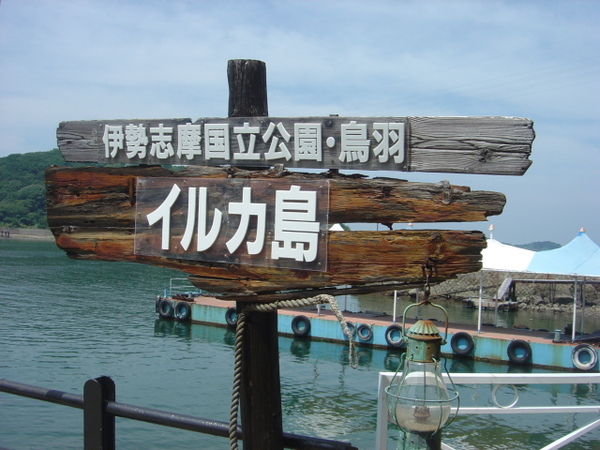 海豚島