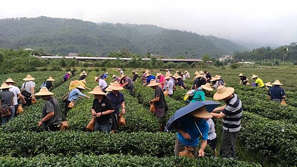 日正公司106.05 (1).jpg