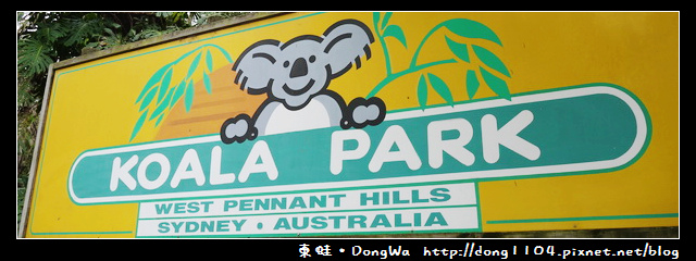 雪梨遊記。KOALA PARK。無尾熊保護區 雪梨遊記。KOALA PARK。無尾熊保護區