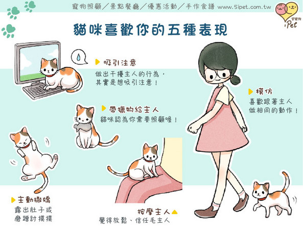 貓咪喜歡你的五種表現 貓咪喜歡你的五種表現