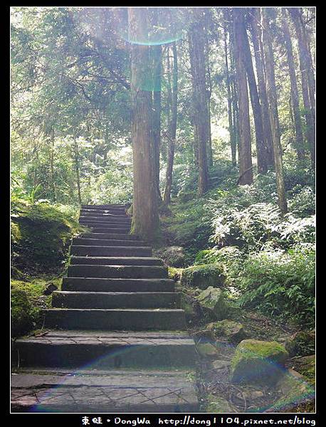 【南投遊記】杉林溪。先民隧道。千古紅繪。天地眼