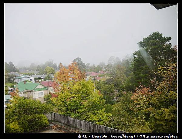 【雪梨遊記】藍山土著文化中心。藍山國家公園