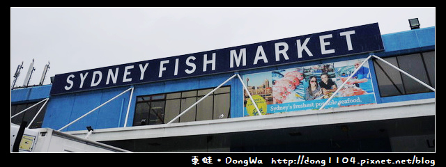 【雪梨遊記】SYDNEY FISH MARKET。雪梨魚市場 【雪梨遊記】SYDNEY FISH MARKET。雪梨魚市場