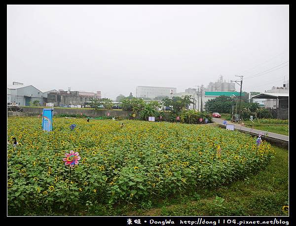 【桃園遊記】平鎮市103年度花海迷宮。延平路三段260巷