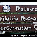 【巴拉望遊記】鱷魚農場。Palawan Wildlife Rescue and Conservation Center