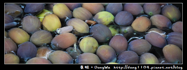 【台南遊記】玩瘋西拉雅。藕是蓮長。白河蓮花季 【台南遊記】玩瘋西拉雅。藕是蓮長。白河蓮花季