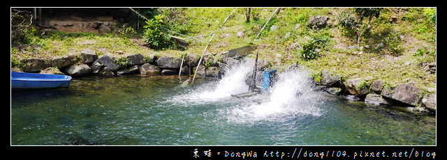 【宜蘭食記】員山大湖冷泉碳烤。碳烤福壽魚 【宜蘭食記】員山大湖冷泉碳烤。碳烤福壽魚