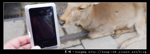 【大阪自助/自由行】1to10 WiFi分享器。日本4G上網分享器使用心得 【大阪自助/自由行】1to10 WiFi分享器。日本4G上網分享器使用心得