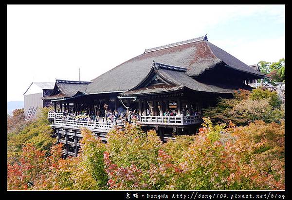 【大阪自助/自由行】京都音羽山清水寺。清水舞台。音羽瀑布。忠僕茶屋