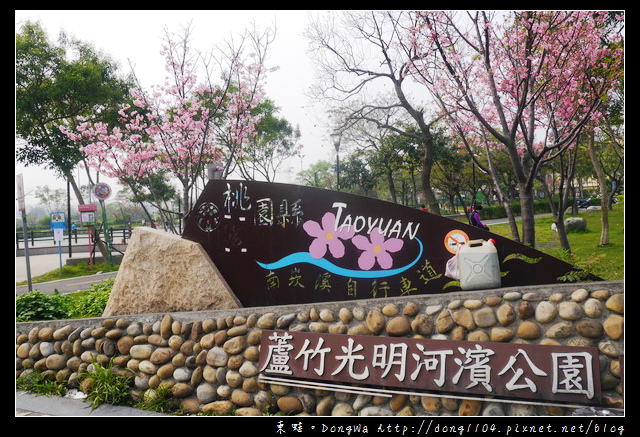 【桃園遊記】蘆竹南崁賞櫻好去處|光明河濱公園|富士櫻紀念園區 【桃園遊記】蘆竹南崁賞櫻好去處|光明河濱公園|富士櫻紀念園區