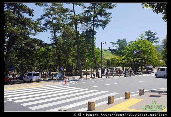 【大阪自助/自由行】奈良餵鹿好好玩|快拿出鹿仙貝來收服鹿寶貝吧！