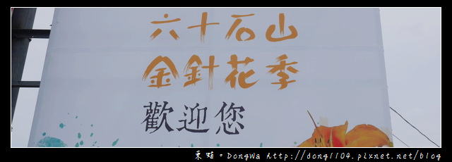 【花蓮遊記】富里鄉六十石山金針花季|賞花景點介紹|老茄苳 尖閣亭 黃花亭 忘憂亭 台灣小瑞士景觀台 【花蓮遊記】富里鄉六十石山金針花季|賞花景點介紹|老茄苳 尖閣亭 黃花亭 忘憂亭 台灣小瑞士景觀台
