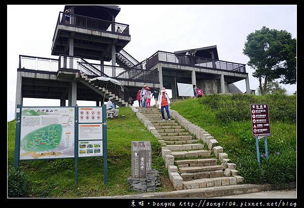 【花蓮遊記】富里鄉六十石山金針花季|賞花景點介紹|老茄苳 尖閣亭 黃花亭 忘憂亭 台灣小瑞士景觀台