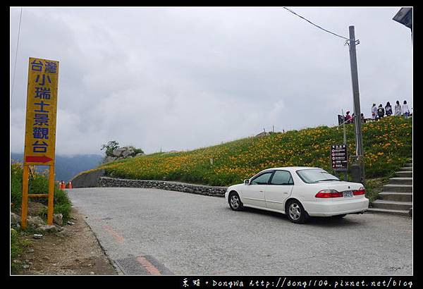 【花蓮遊記】富里鄉六十石山金針花季|賞花景點介紹|老茄苳 尖閣亭 黃花亭 忘憂亭 台灣小瑞士景觀台