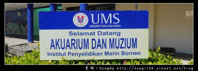 【沙巴自助/自由行】沙巴景點|沙巴大學 UMS|深海水族館( Aquarium and Marine Museum ) 【沙巴自助/自由行】沙巴景點|沙巴大學 UMS|深海水族館( Aquarium and Marine Museum )
