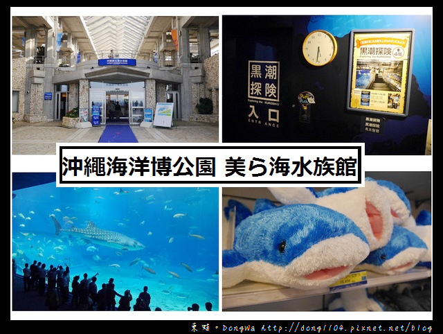 【沖繩自助/自由行】沖繩景點推薦|沖繩海洋博公園 美ら海水族館|KLOOK 客路網路購票更便宜 【沖繩自助/自由行】沖繩景點推薦|沖繩海洋博公園 美ら海水族館|KLOOK 客路網路購票更便宜