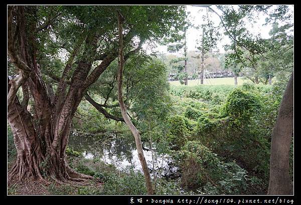 【台北遊記】台北免費景點|台北市第一座兒童參與設計遊戲場|瑠公圳自然濕地生態池|榮星花園