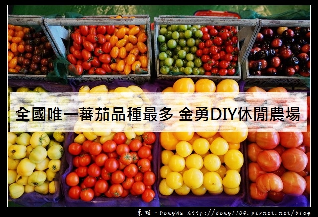 【新竹遊記】新竹免費景點|全國唯一蕃茄品種最多|金勇DIY蕃茄休閒農場 【新竹遊記】新竹免費景點|全國唯一蕃茄品種最多|金勇DIY蕃茄休閒農場