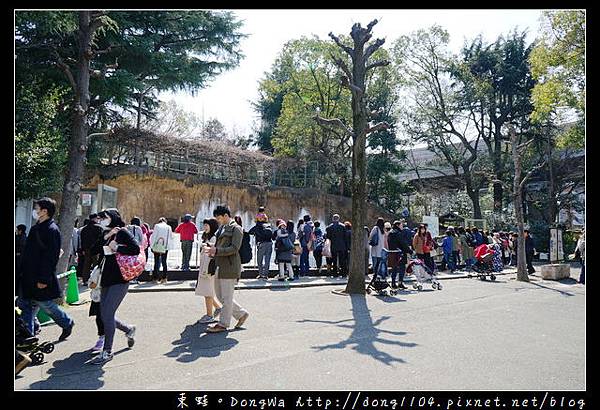 【大阪自助/自由行】大阪周遊卡免費景點|親子旅行景點推薦|天王寺動物園