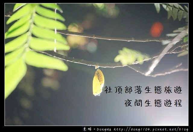 【屏東遊記】恆春生態遊旅推薦 豐富的動植物生態|社頂部落夜間生態遊程之旅 【屏東遊記】恆春生態遊旅推薦 豐富的動植物生態|社頂部落夜間生態遊程之旅
