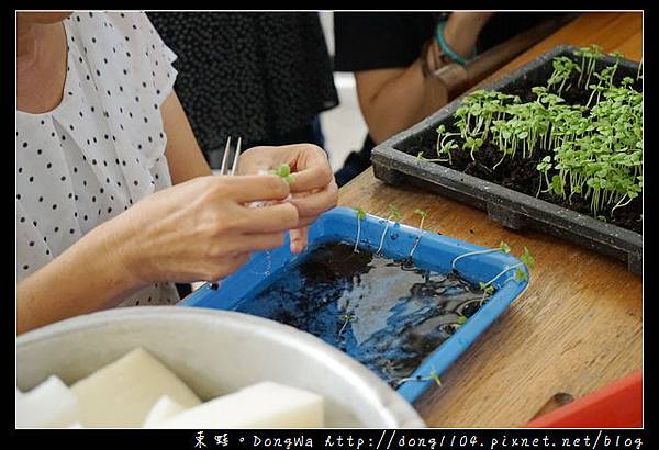 【桃園農場小旅行】大溪魚菜工坊 魚菜共生盆栽DIY