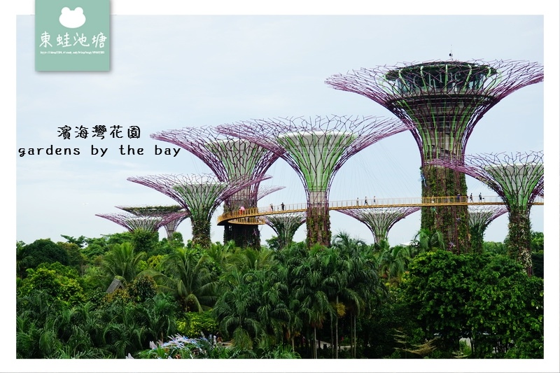 【新加坡免費景點推薦】Gardens by the Bay 濱海灣花園 SUPERTREE GROVE 【新加坡免費景點推薦】Gardens by the Bay 濱海灣花園 SUPERTREE GROVE