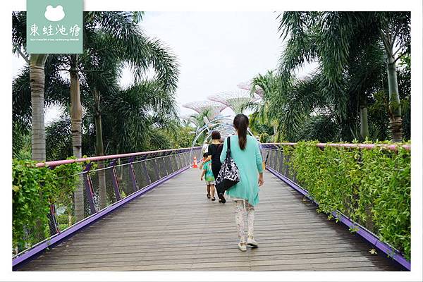 【新加坡免費景點推薦】Gardens by the Bay 濱海灣花園 SUPERTREE GROVE